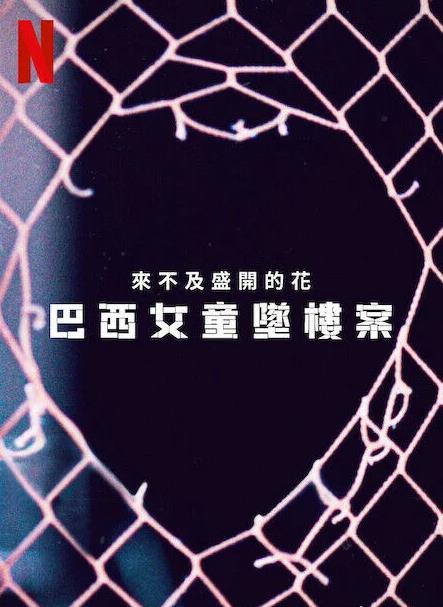 来不及盛开的花:巴西女童坠楼案