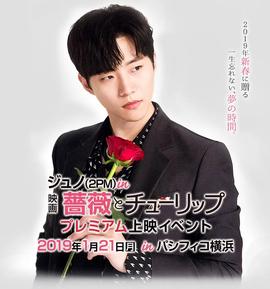 玫瑰与郁金香 薔薇