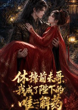休掉前夫哥，我成了陛下的唯一解药